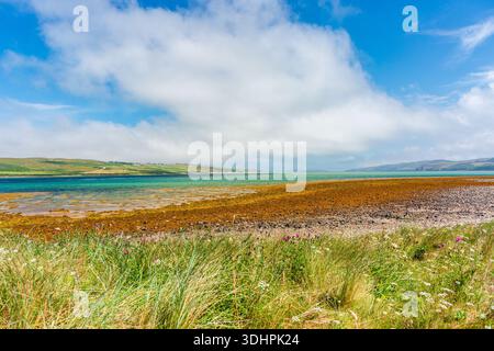 Ecosse cachée. Route NC500. Une vaste scène côtière pittoresque présente des eaux turquoises et un rivage doré orné d'algues. Dans le premier groupe Banque D'Images