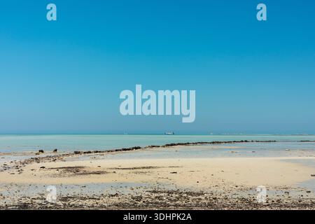 Une vue sereine sur la côte avec un ciel bleu vif, une eau turquoise calme et un rivage sablonneux parsemé de rochers. Parfait pour les voyages, les vacances, l'été Banque D'Images