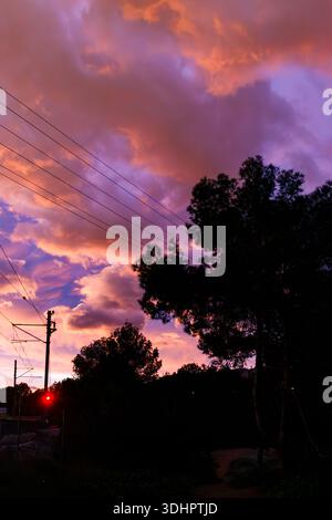 Une vue verticale d'un ciel de coucher de soleil violet et orange éclatant encadré par des pins silhouettes et des lignes électriques de chemin de fer à Benidorm, en Espagne. Banque D'Images