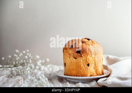 Gâteau de pâques rustique maison, panettone avec espace copie. Banque D'Images