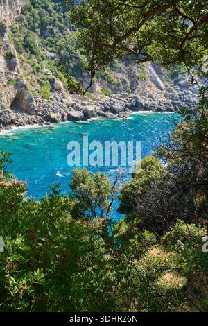 Découvrez le charme méditerranéen vibrant de Corfou avec cette vue panoramique sur les falaises rocheuses et les eaux émeraude encadrées par un feuillage vert luxuriant. Banque D'Images