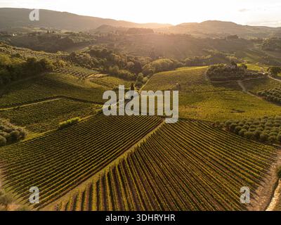 Vue aérienne d'un paysage viticole avec des champs verdoyants et vallonnés sous la lueur chaude du coucher du soleil. Italie Toscane Banque D'Images