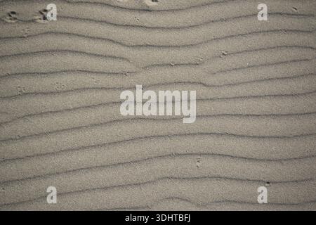 des ondulations de sable dans le sable sur une plage Banque D'Images