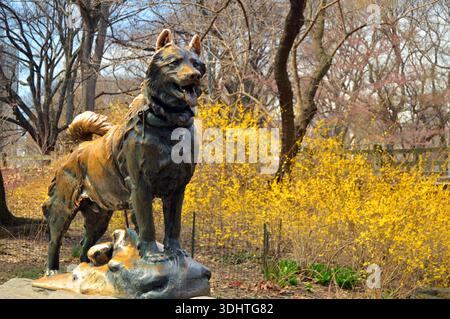 Une sculpture à Central Park, New York City rend hommage au chien de traîneau Balto qui a dirigé une équipe pour apporter des provisions à Alas lointaine Banque D'Images