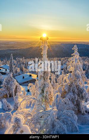 Vue sur les couvertures de neige embrassées par le soleil, les grands pins et les cabanes sous un ciel vibrant, peignant un merveilleux pays d'hiver serein, Pudasjarvi, Laponie, Finlande Banque D'Images