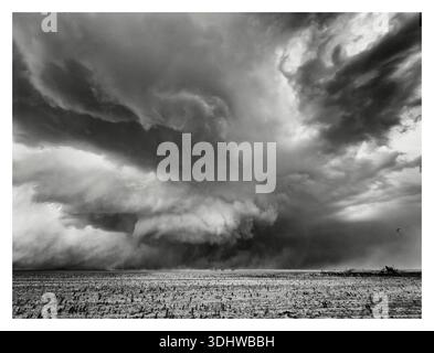 Une tempête rassemblée, des cieux menaçants, des formes dans les airs, une image en noir et blanc. Banque D'Images