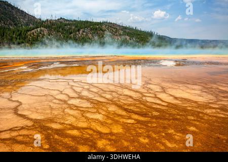 Tapis de bactéries colorées entourant Grand Prismatic Spring, Midway Geyser Basin, Parc National de Yellowstone, Wyoming Banque D'Images