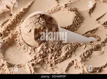 poudre végétalienne aromatisée au chocolat whey protein dans une cuillère sur fond de poudre Banque D'Images