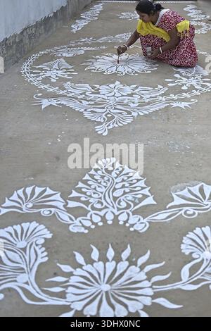 Agartala, Tripura, Inde, 12-01-2026 : des femmes peignent Alpona, sur le terrain avant le festival hindou Makar Sankranti dans le village de Lankamura à Agartala. Banque D'Images