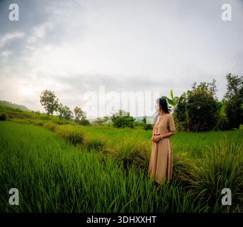 Femme asiatique font des voyages en solo dans le village. Profitant de la vue sur les rizières vertes. Banque D'Images