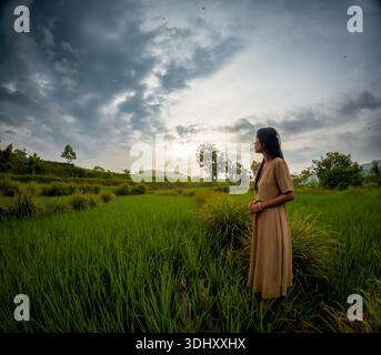 Femme asiatique font des voyages en solo dans le village. Profitant de la vue sur les rizières vertes. Banque D'Images