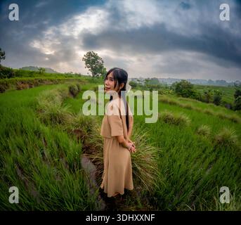 Femme asiatique font des voyages en solo dans le village. Profitant de la vue sur les rizières vertes. Banque D'Images