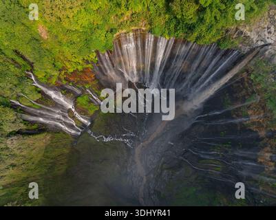 Vue aérienne de haut en bas de la cascade de Tumpak Sewu entourée d'une forêt tropicale luxuriante, Indonésie Banque D'Images