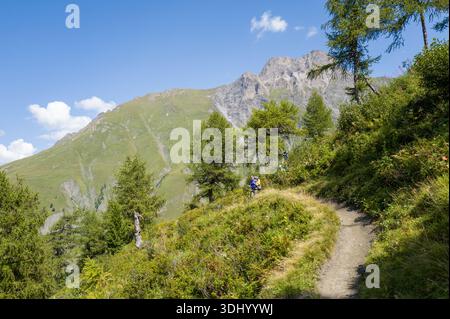 Lieu inconnu - 27 août 2024 : deux randonneurs marchent le long d'un étroit chemin de terre serpentant à travers une colline boisée avec des pentes herbeuses, des arbres et un pic de montagne rocheux en arrière-plan sous un ciel bleu avec des nuages éparpillés. Banque D'Images