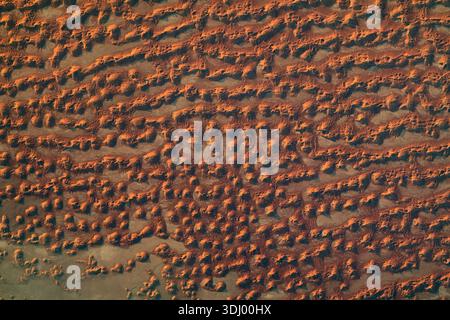 Dunes de sable dans le Rub' al Khali, ou Empty Quarter, le plus grand désert de sable contigu au monde. Les dunes sont situées le long de la frontière entre l'Arabie saoudite et Oman. Le Rub' al Khali couvre certaines parties de l'Arabie saoudite, Oman, le Yémen et les Émirats arabes Unis. L'éclairage dramatique met en évidence les motifs complexes et les ombres de l'immense champ de dunes. Rub' Al Khali est le plus grand désert de sable du monde, couvrant 650,000 km carrés en Arabie Saoudite. Photographie prise depuis la Station spatiale internationale le 12 juin 2023. Une version optimisée d'une image originale de la NASA : crédit : NASA/SAlNeyadi Banque D'Images