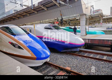 Tokyo, Japon - 2 janvier 2016. Train à grande vitesse moderne Shinkansen garé sur le quai central animé de la gare de Tokyo. Banque D'Images