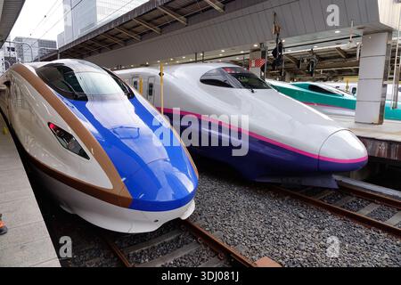 Tokyo, Japon - 2 janvier 2016. Train à grande vitesse moderne Shinkansen garé sur le quai central animé de la gare de Tokyo. Banque D'Images