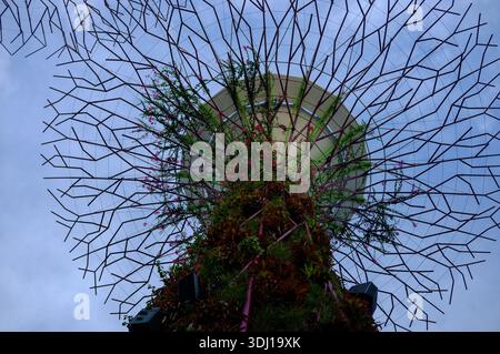 Un gros plan d'un super arbre à Gardens by the Bay Singapore Asia, une structure vivante couverte de plantes aidant l'environnement et un point de repère local. Banque D'Images