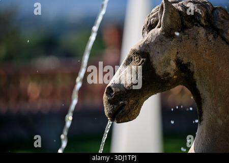 Une majestueuse statue de fontaine de tête de cheval en pierre altérée se dresse à l'extérieur. L'eau claire coule de sa bouche, créant de douces éclaboussures. Banque D'Images