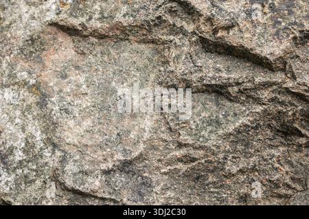 Une vue rapprochée d'une surface rocheuse montre divers motifs et textures. La lumière du soleil met en évidence les bords rugueux et les formations uniques. Ceci est courant dans o Banque D'Images