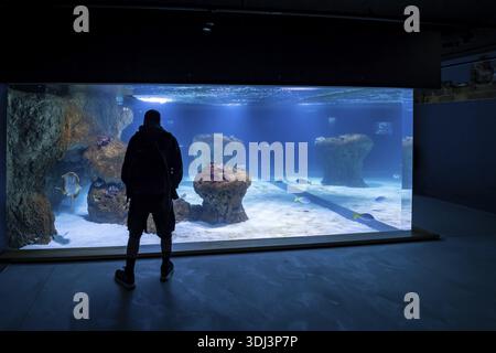 Visiteurs se tient devant l'aquarium de spectacle, grand aquarium, Musée maritime allemand, monastère dominicain, Stralsund, Mecklembourg-Poméranie occidentale, Germa Banque D'Images