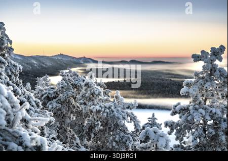 Arbres et forêts enneigés au lever du soleil, atmosphère hivernale glaciale. Finlande. Laponie Ruka Banque D'Images