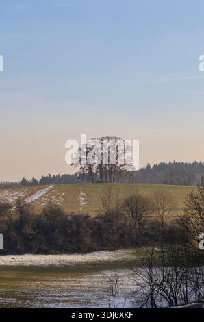 Embrassant la beauté sereine des paysages alpins de Bad Hindelang, où chaque sommet raconte une histoire et chaque vallée respire la tranquillité Banque D'Images