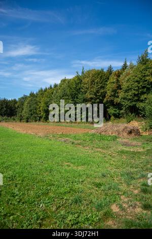 Un paysage serein avec un champ herbeux avec une zone fraîchement labourée, bordé par une forêt dense d'arbres sous un ciel bleu clair Banque D'Images