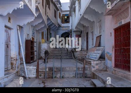Pushkar, Inde - 17 mars 2022 : deux vaches se tiennent sur des marches de pierre dans une ruelle étroite bordée de vieux bâtiments résidentiels, de balustrades métalliques et de panneaux visibles sur les murs à la lumière du jour. Banque D'Images