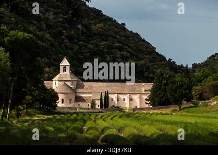 ABBAYE DE SÉNANQUE FRANCE Banque D'Images