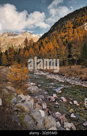 Ruisseau et arbres aux couleurs d'automne devant les montagnes, mélèzes dorés, Grisons, Suisse Banque D'Images