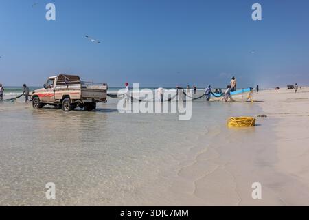 Un groupe de pêcheurs omanais traditionnels tirent activement un long filet de pêche de l'eau turquoise claire sur une plage de sable immaculée sous un brick Banque D'Images