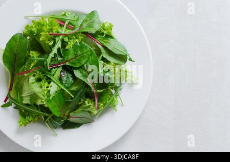 Salade verte fraîche à base de différents types de feuilles - épinards, laitue, roquette et feuilles de betterave. Un plat naturel et sain avec un contraste lumineux de gre Banque D'Images