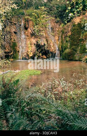 Une scène tranquille de Wadi Darbat, Oman, avec une petite cascade qui tombe en cascade dans un étang naturel clair et réfléchissant. Feuillage vert luxuriant, fougères et m Banque D'Images