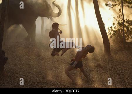 Deux boxeurs Muay Thai combattant à côté d'un éléphant dans la brume au crépuscule, Thaïlande Banque D'Images
