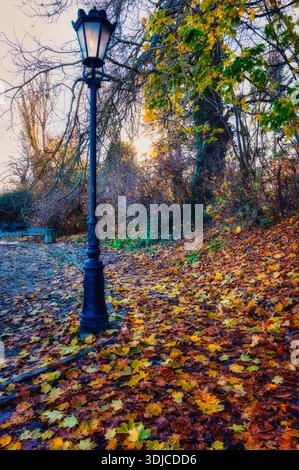 Gros plan d'un élégant lampadaire vintage debout au milieu d'un épais tapis de feuilles d'automne colorées tombées. Les rouges vibrants, oranges, jaunes Banque D'Images