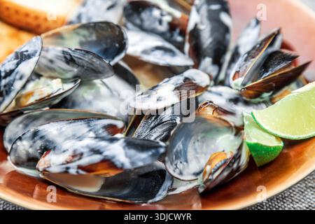 Moules dans une sauce au fromage à la crème. Servi dans une assiette rustique beige avec deux croûtons et tranches de citron. Gros plan Banque D'Images