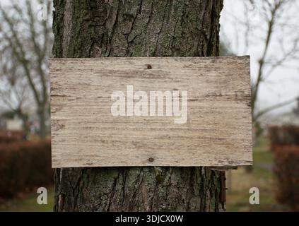 Photographie rapprochée panneau en bois vierge monté sur un tronc d'arbre dans un cadre de parc extérieur. Panneau extérieur vide en bois vierge. Panneau vierge altéré. Banque D'Images