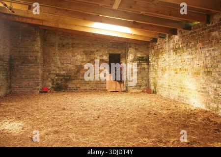 L'intérieur d'un confortable, solide, grand, brique construit, cheval stable, montrant la selle et le tack accroché sur la porte intérieure Banque D'Images