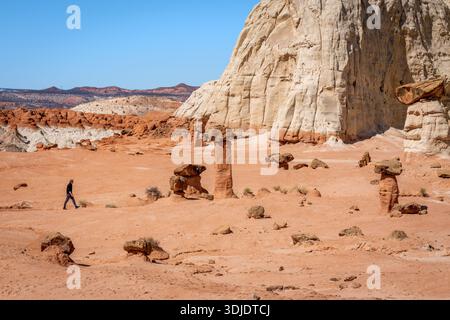 Un randonneur solitaire se promène dans le paysage surréaliste de Toadstool Hoodoos dans l'Utah, aux États-Unis. Les formations géologiques uniques, sculptées par l'érosion de plus de millions Banque D'Images