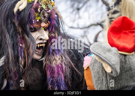 Zug, Suisse - 1er mars 2025 : une personne en costume de bête à fourrure Tschaggatta avec un masque en bois à cornes lors d'un défilé Fasnacht du carnaval d'hiver suisse Banque D'Images
