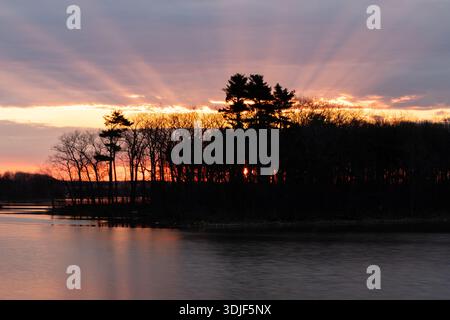 Scène de rivière calme à l'aube avec silhouettes d'arbres sombres, reflets doux et lumière pastel subtile se répandant dans le ciel tôt le matin. Banque D'Images