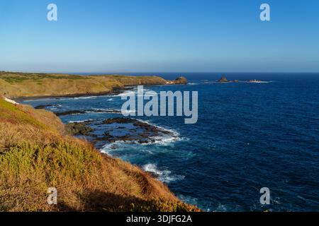 Une vue panoramique sur la côte avec un rivage rocheux, des vagues écrasantes et des falaises escarpées surplombant un vaste océan bleu sous un ciel clair. Banque D'Images