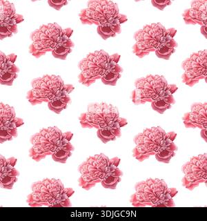 Modèle sans couture avec des bourgeons de pivoine roses. Illustration aquarelle peinte à la main isolée sur fond blanc pour les textiles, l'emballage, la papeterie Banque D'Images