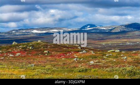 Vaste paysage sauvage avec des collines vallonnées avec des parcelles de neige, feuillage automnal coloré, et des rochers dispersés sous un ciel partiellement nuageux, évoque Banque D'Images