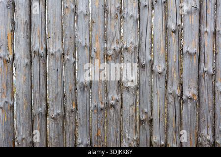 Texture de fond de la vieille clôture en bois gris de bûches entières avec des nœuds. Clôture minable. Matériau naturel. Banque D'Images