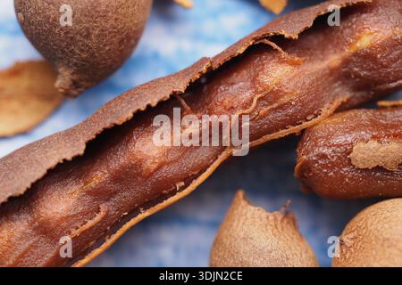 Gousse de fruit de tamarin avec des graines sur un fond bleu Banque D'Images