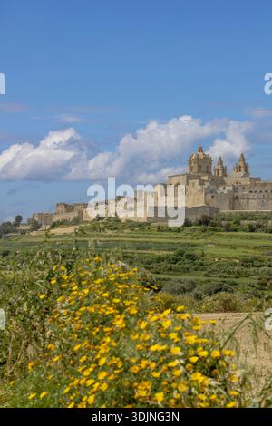 Malte, Mdina - 15 avril 2025 : vue panoramique de la cathédrale Saint-Paul du XIIe siècle (cathédrale Mdina), église baroque. Banque D'Images