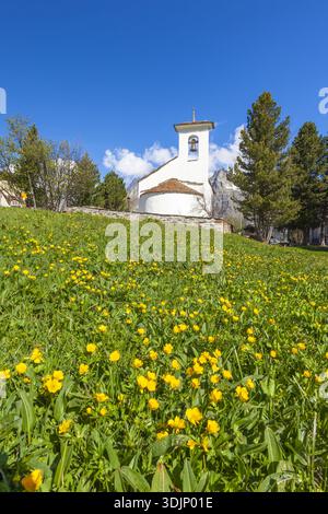 Vue aérienne d'une église blanche debout fièrement au milieu d'un tapis vibrant de fleurs sauvages jaunes sous un ciel bleu clair, vallée de Fex en Engadine, Suisse. Banque D'Images