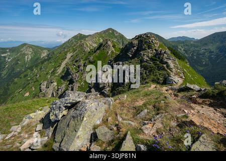 Vue sur les pics rocheux accidentés s'élèvent contre un ciel bleu vibrant, avec une végétation verte accrochée aux pentes de Magury, Western Tatras, Zilinsky kraj, SL Banque D'Images